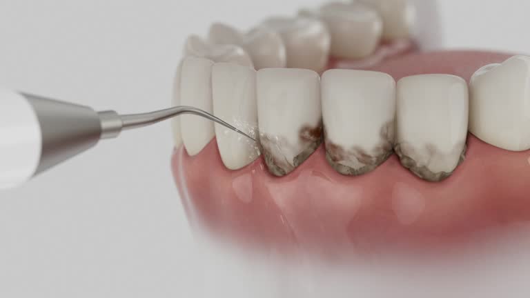 Reliable Dental contractor in Pensacola, FL by Dentist Open Now